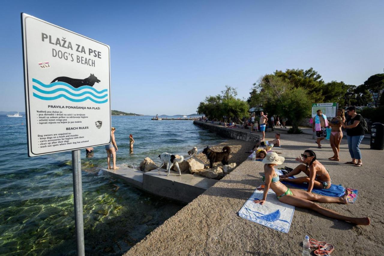Koraljka Vodice